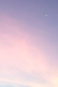 AC米兰战平佛罗伦萨，积分榜受阻