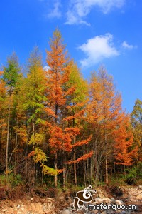 桑普多利亚取得胜利后信心倍增，雄心勃勃