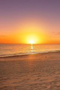 瓦伦西亚主场狂胜马洛卡，神勇表现