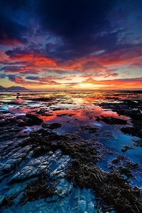 热闹场面！亚洲豪强热血搏击