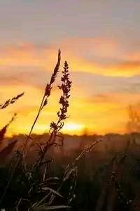 瓦伦西亚主场狂胜马洛卡，神勇表现