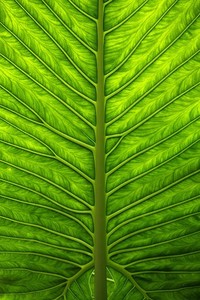 势不可挡！东亚劲旅压倒对手