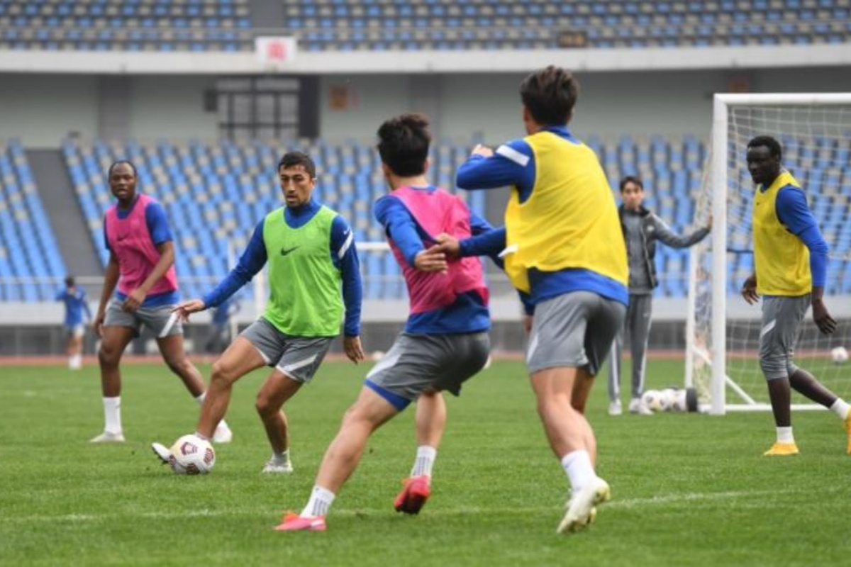 球队精英重现巅峰，展现出色表现